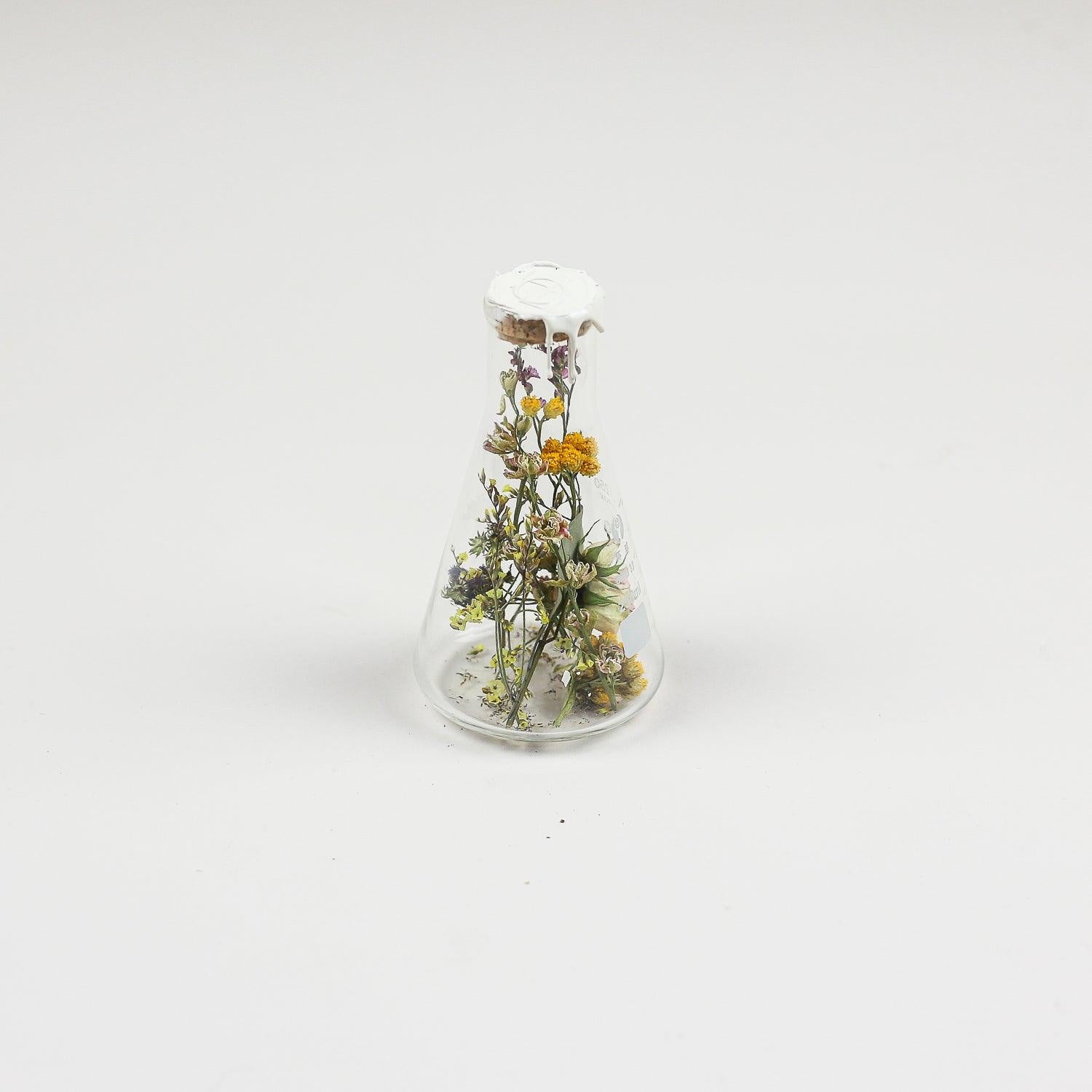 Flask of Hope | Kibo 250 F7 - Field of Hope